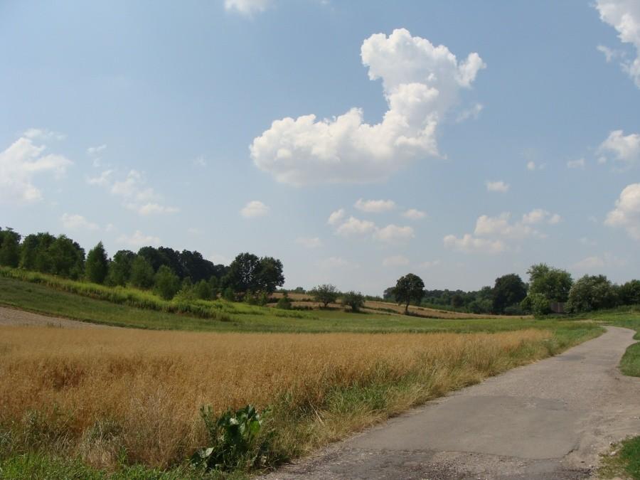 Węglinek Lublin