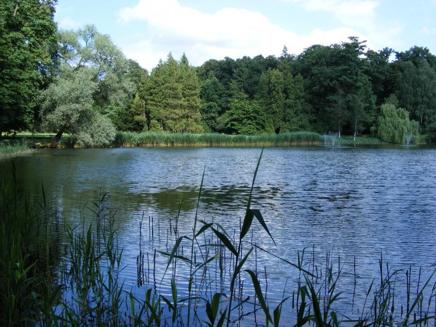 Krasiczyn 3