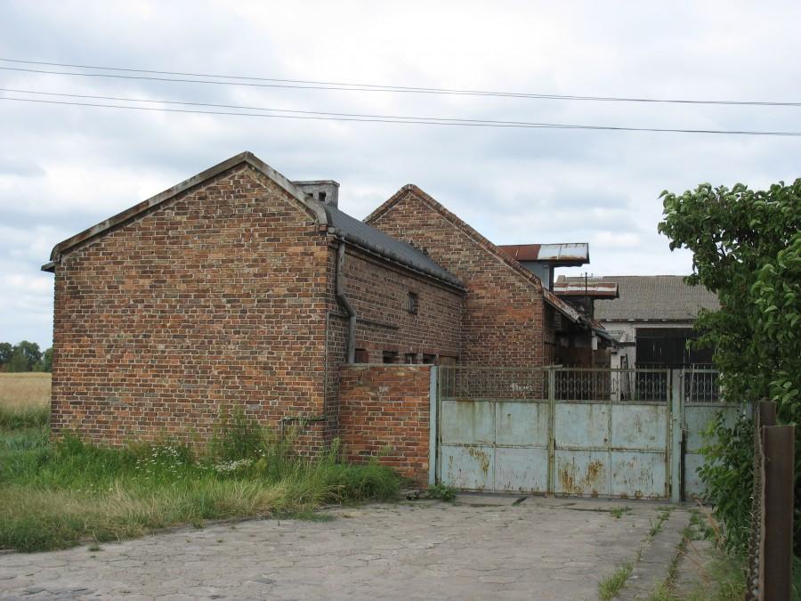 Warszawa - Dawidy