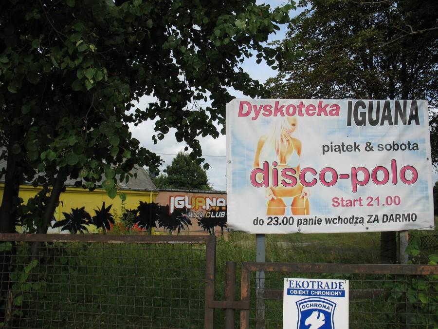 Dawidy - Iguana Disco Club
