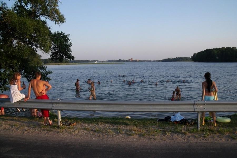 Każde miejsce gdzie nie ma trzcin jest okupowane do granic możliwości