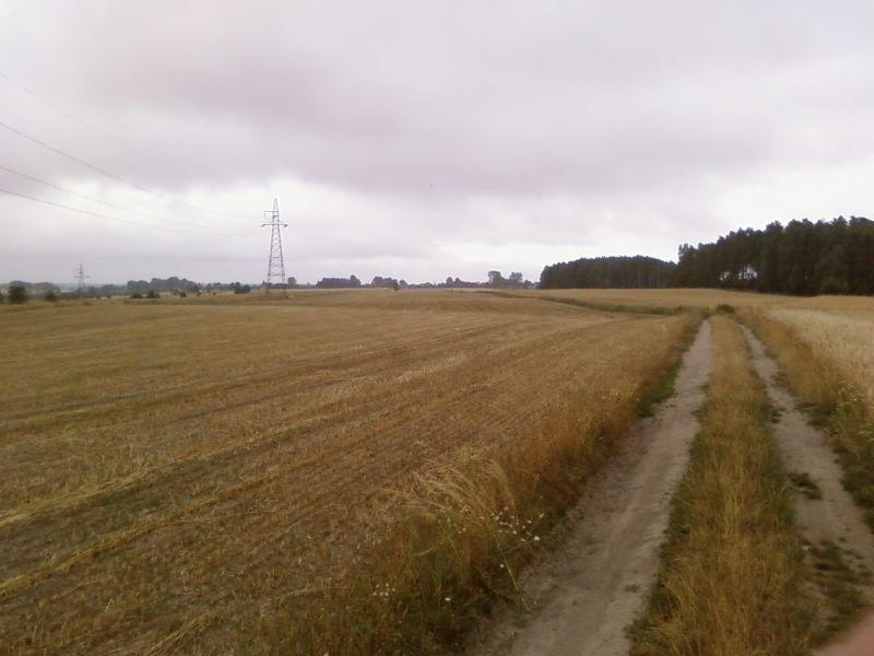 Już po żniwach