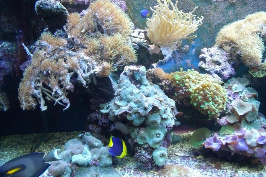 Muzeum jest bardzo duże i wszystko przyciąga uwagę