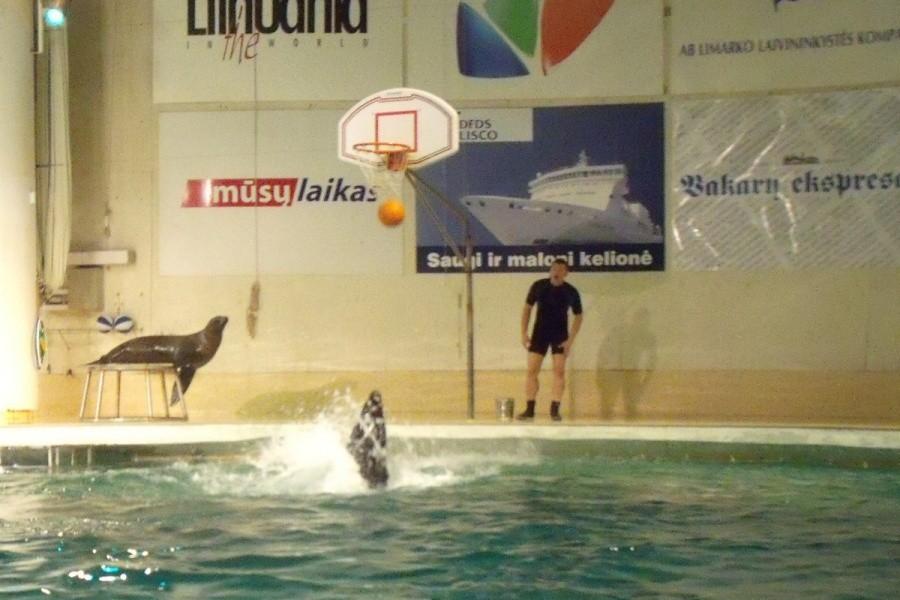 One też potrafią grać w kosza