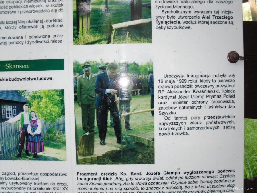 Aleja Trzeciego Tysiąclecia