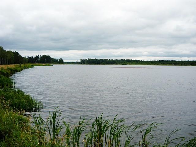 Zalew w Wykrocie