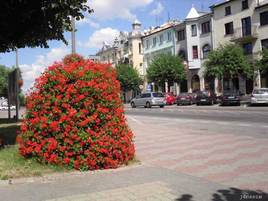 Widok na kamieniczki w centrum Mławy