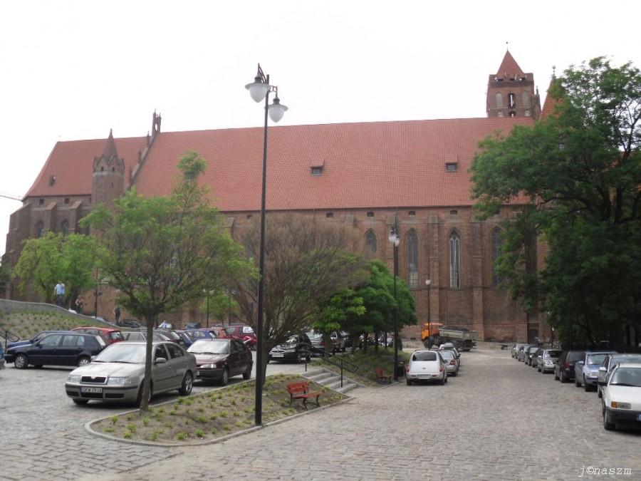 Widok na katedrę