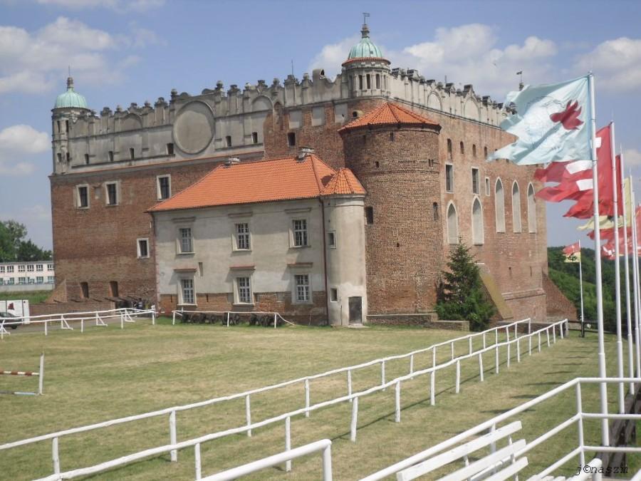 Widok na zamek w Golubiu-Dobrzyniu