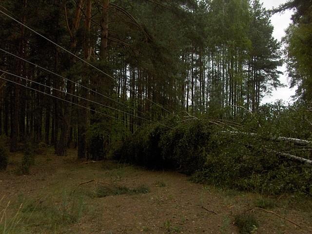 Uwaga! Linia pod napięciem