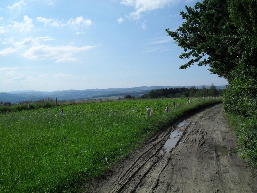 początek zielonego szlaku