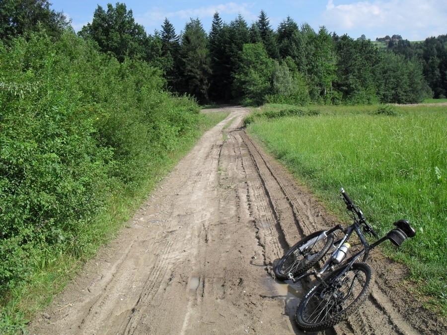 początek zielonego szlaku
