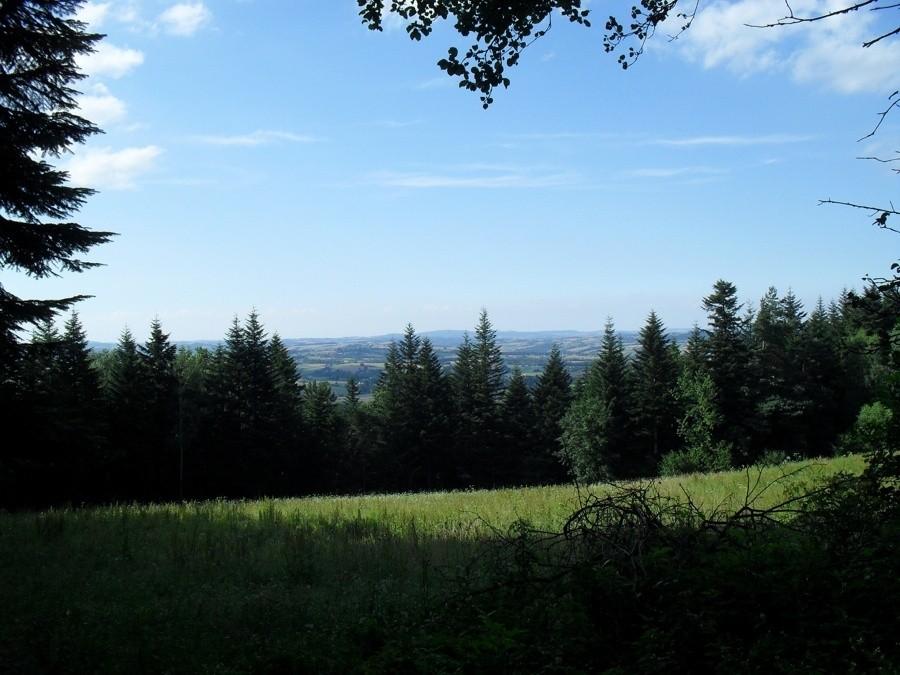 widoczki