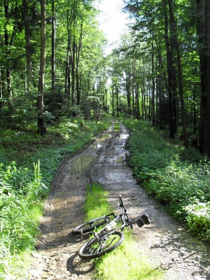 szuter