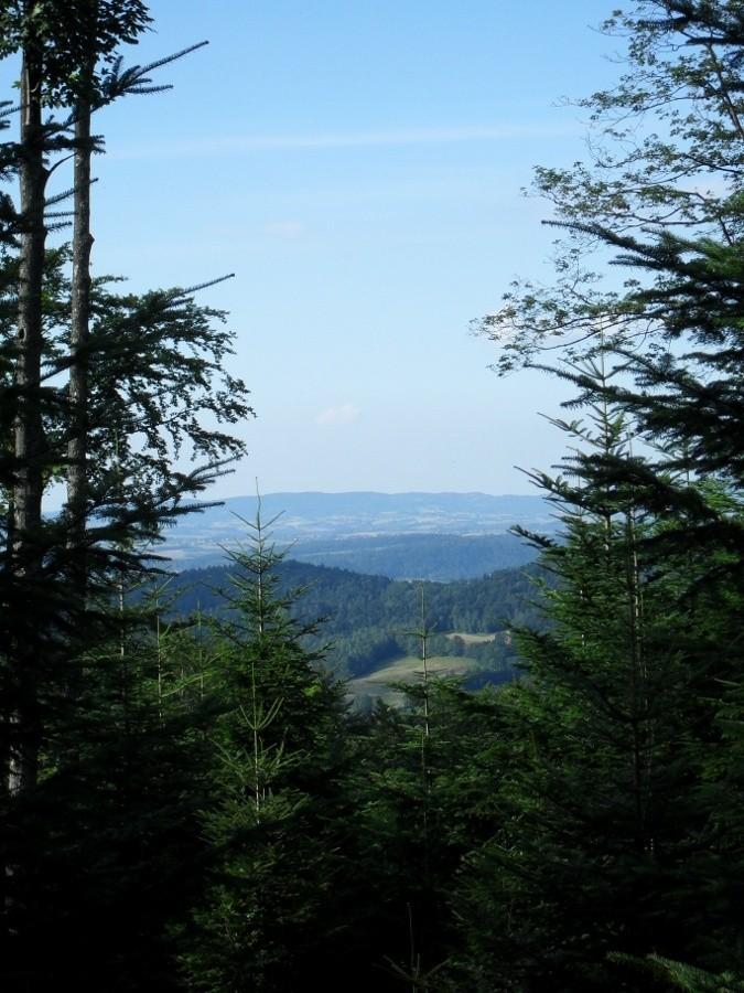 widoczki