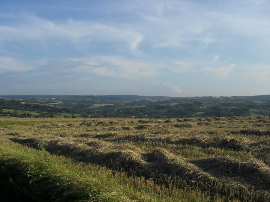 Lubenia i wzgórza