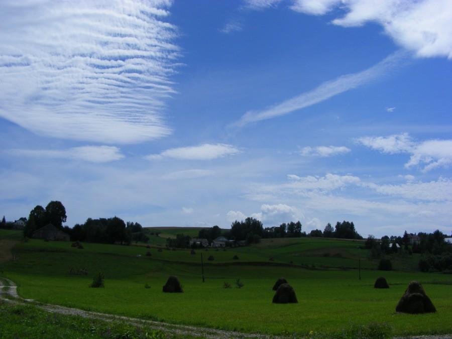 Gdzieś w Brzezinach
