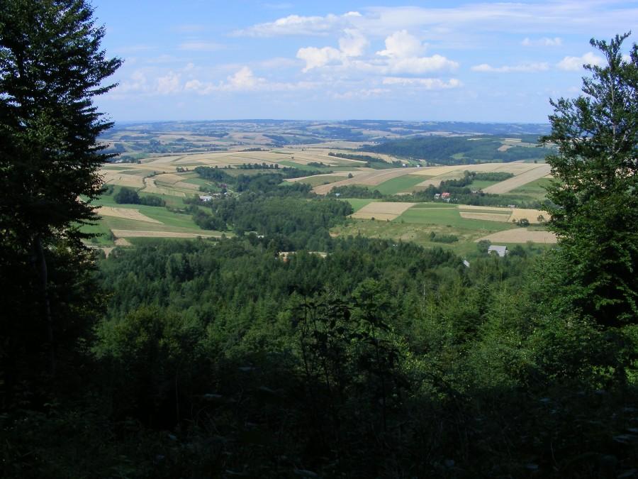 Widok z góry Chełm