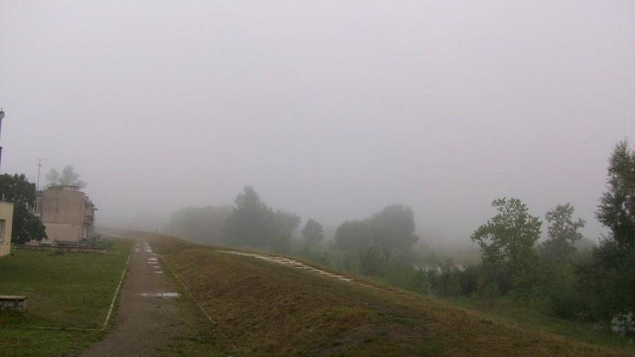 Widok na wisłę