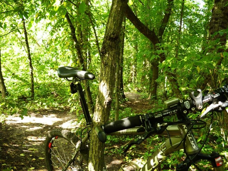 Niebieski rowerowy szlak nad Świdrem - Otwock