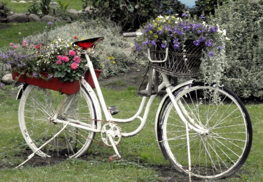 Rowerokwietnik
