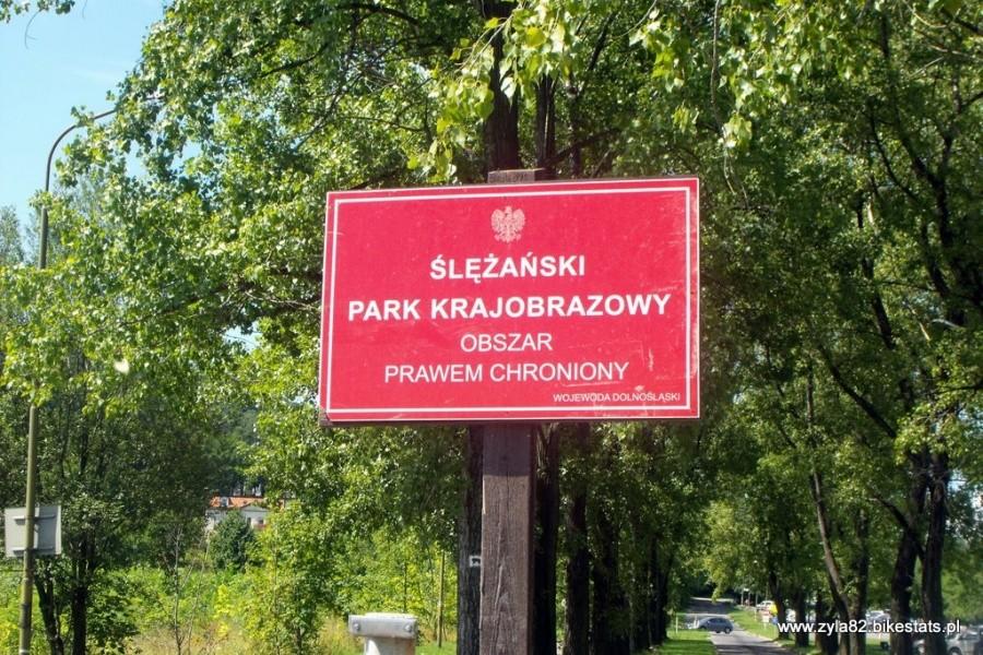 No to zaczynam zabawę
