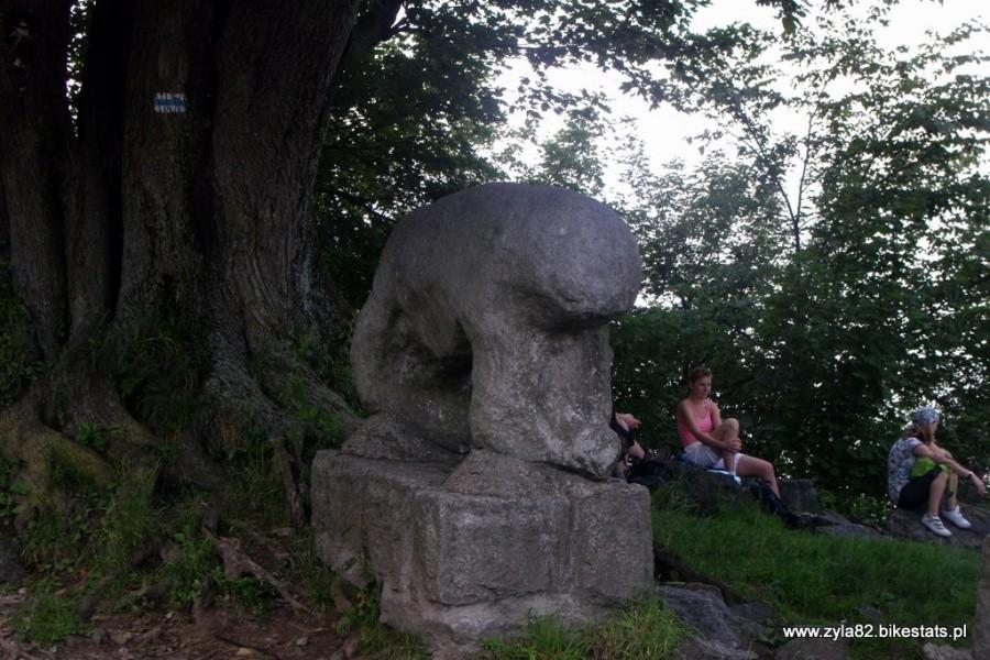 rzeźba niedźwiedzia