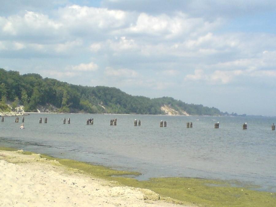 Plaża w Babich Dołach i widok na brzeg Zatoki Gdańskiej