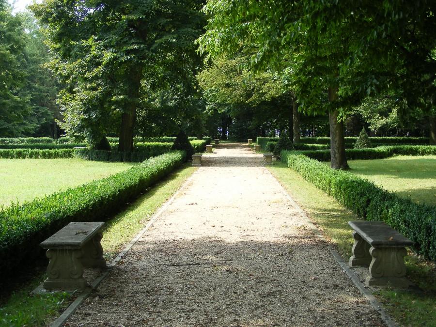 Park przypałacowy