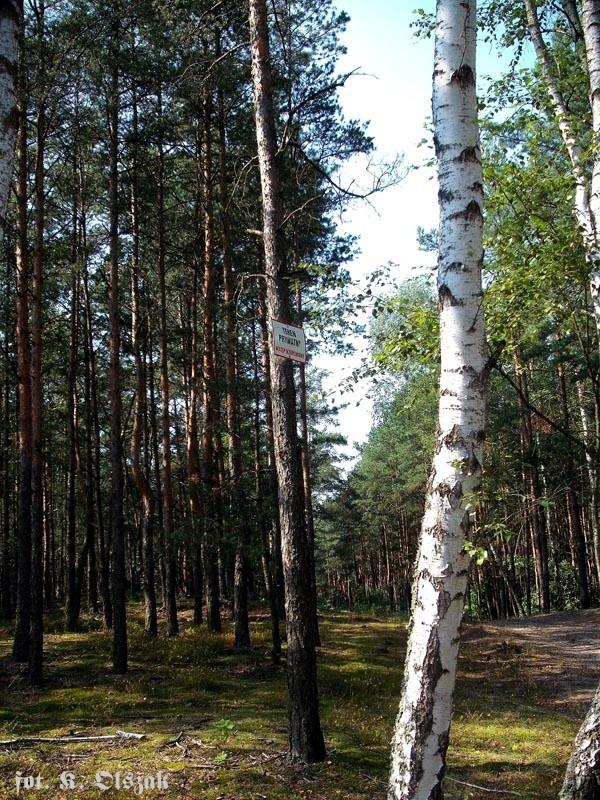 Wstęp wzbroniony (1)