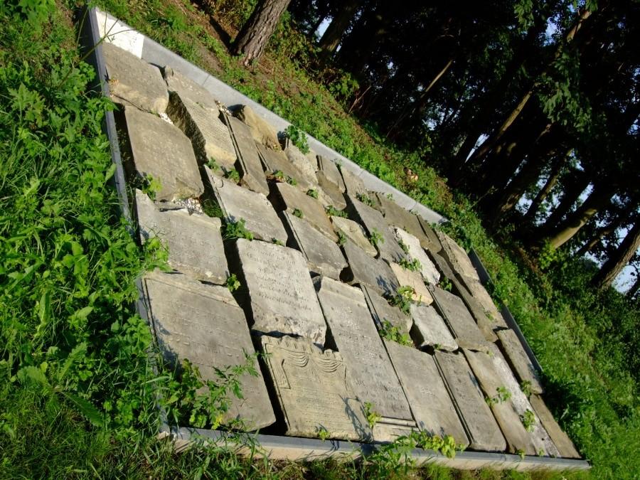 fragmenty nagrobków na żydowskim cmentarzu w Czerniejewie