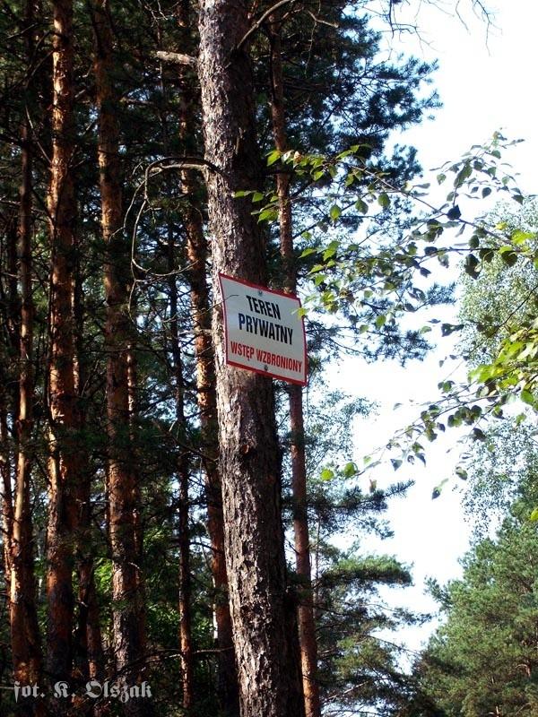 Wstęp wzbroniony (2)