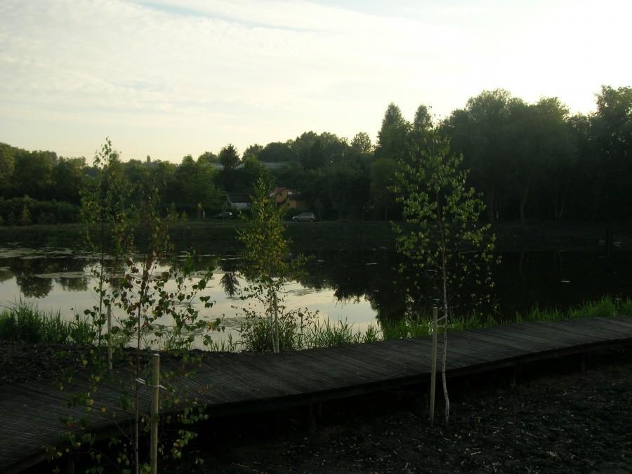 Nowy skwer w Łagiewnikach