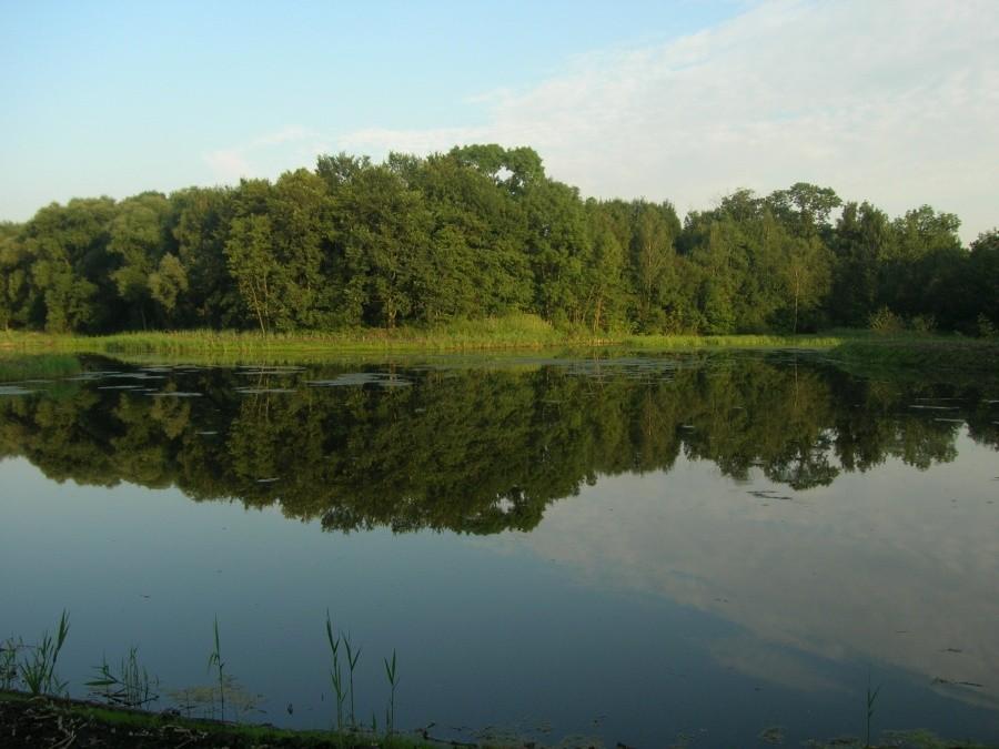 staw w Łagiewnikach (Bytom)