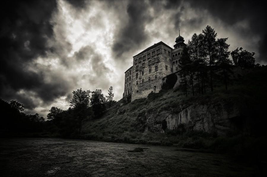 Zamek w Pieskowej Skale
