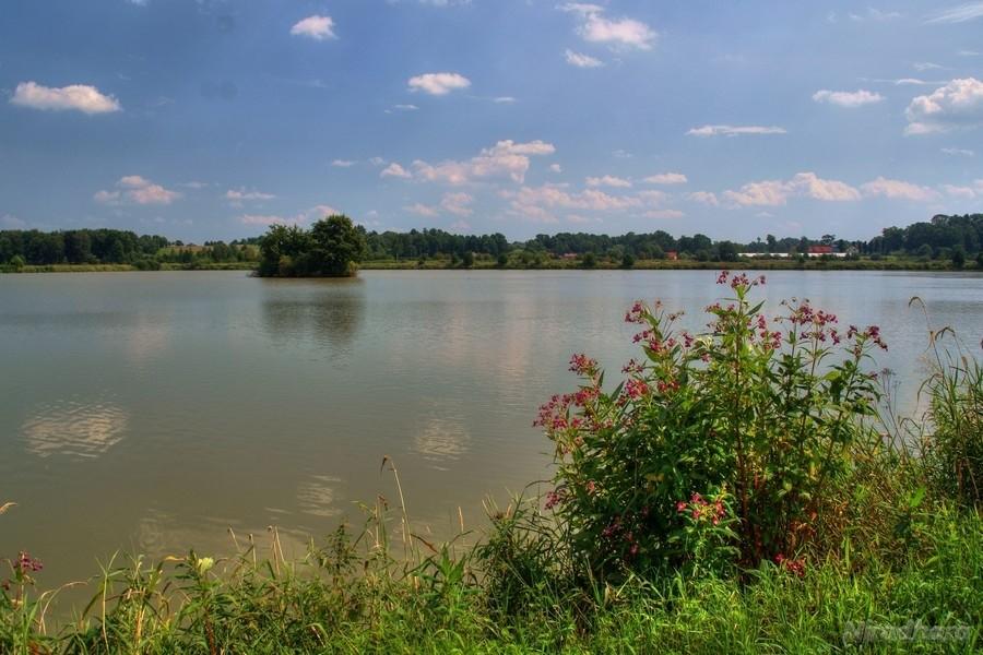 to tylko staw