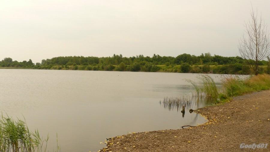 Rezerwat Żabie Doły