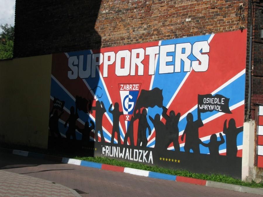 Fani Górnika