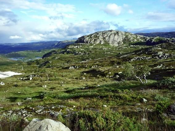 Panoramka