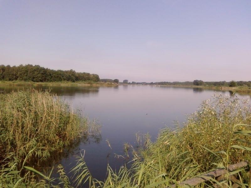 Jezioro we wsi Zgniłe Błoto