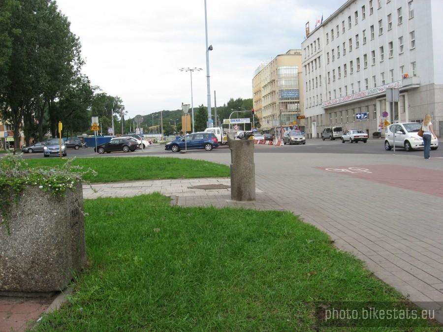 Gołąb przy wodopoju
