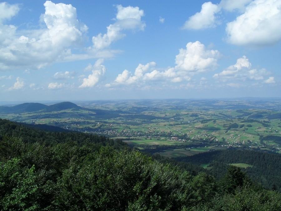 widoki z wieży