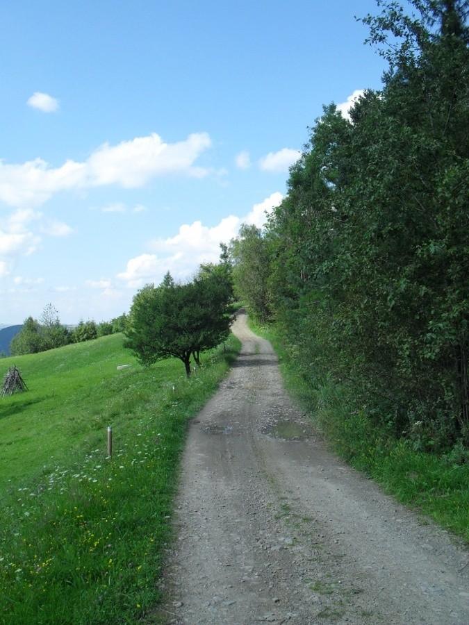 zielony szlak