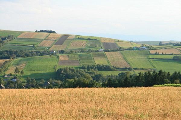 Widok spod Żebraczki