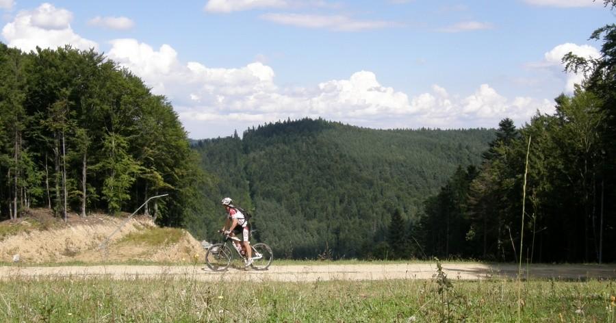 Wysoko, coraz wyżej (ok. 800 m) ...