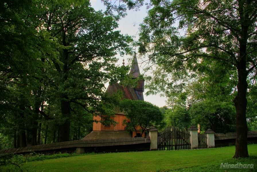 niespodzianka