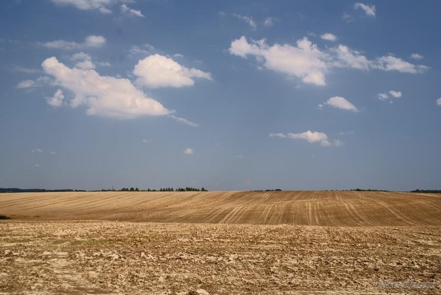 niebo i ziemia