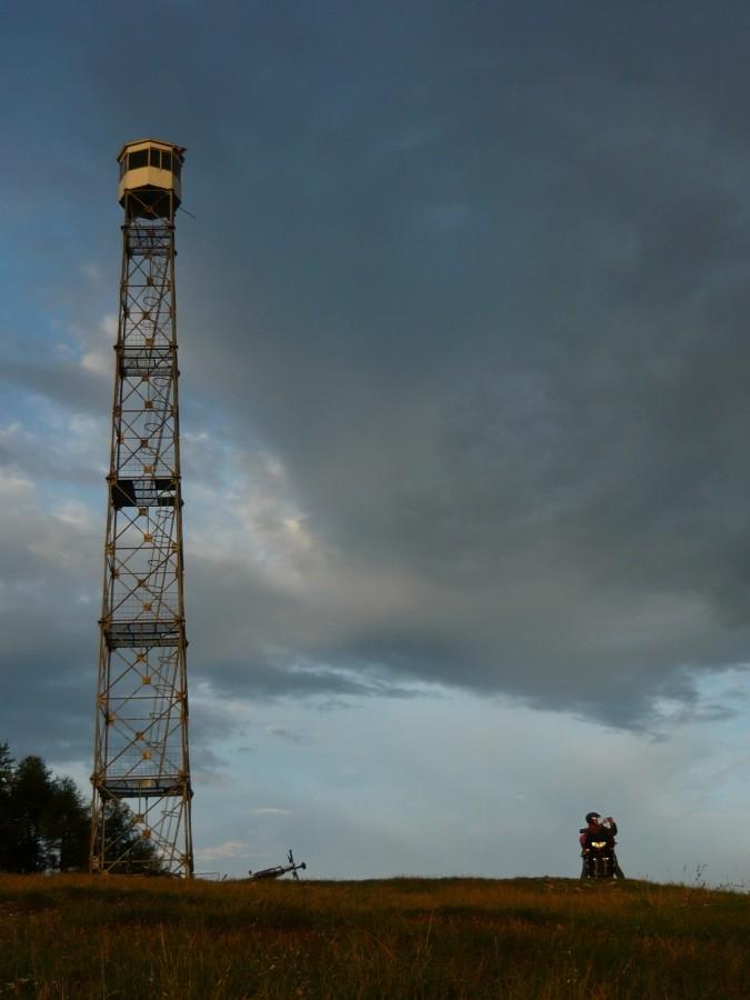 Wieża