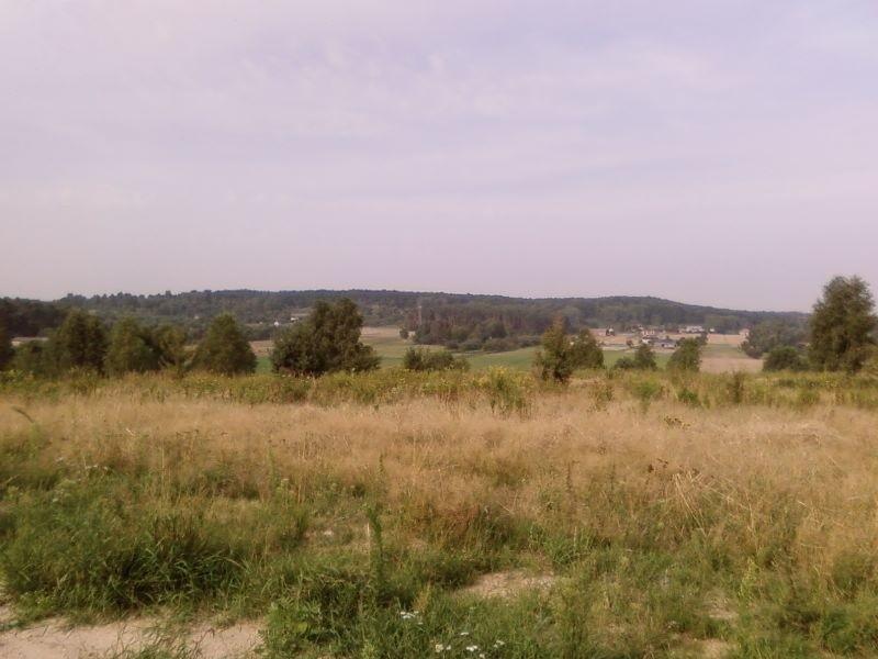 Widok na Las Łagiewnicki