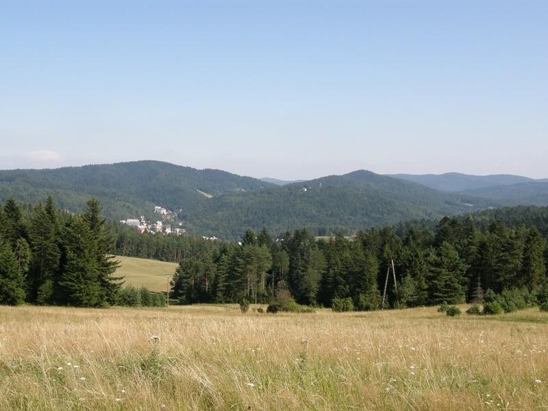 Mała panoramka ze zjazdu z widoczkiem na Krynice
